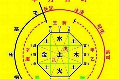 八字五行喜忌|八字入门基础 第六篇 如何判断八字喜用神